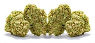 Kaya Cannabis