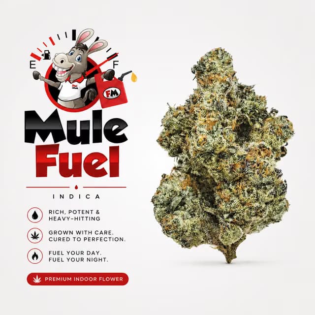Mohave Mule Fuel | 14g Flower