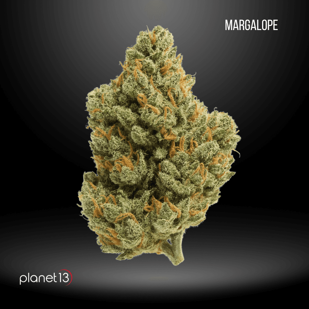 Planet 13 Cannabis for The Planet Margalope 7g Pouch Tier 1