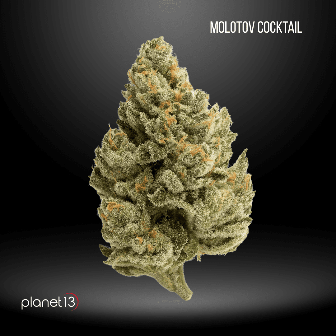 Planet 13 Molotov Cocktail 3.5g Jar Tier 1