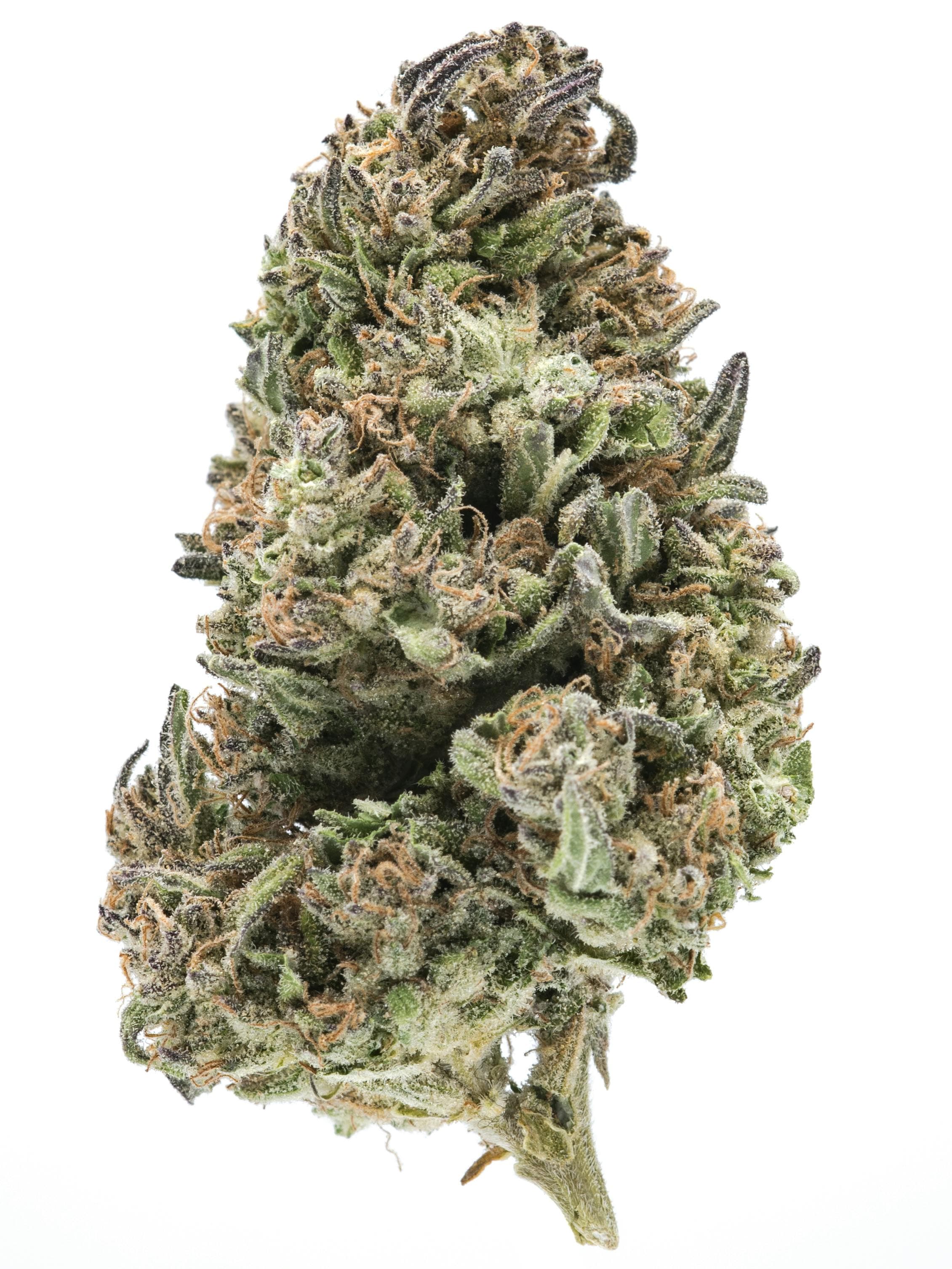 Temescal Wellness Purple Chem