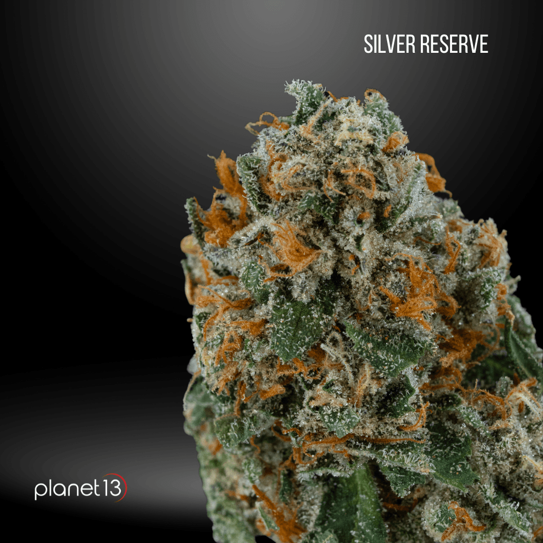 Planet 13 Silver Reserve Tier 1