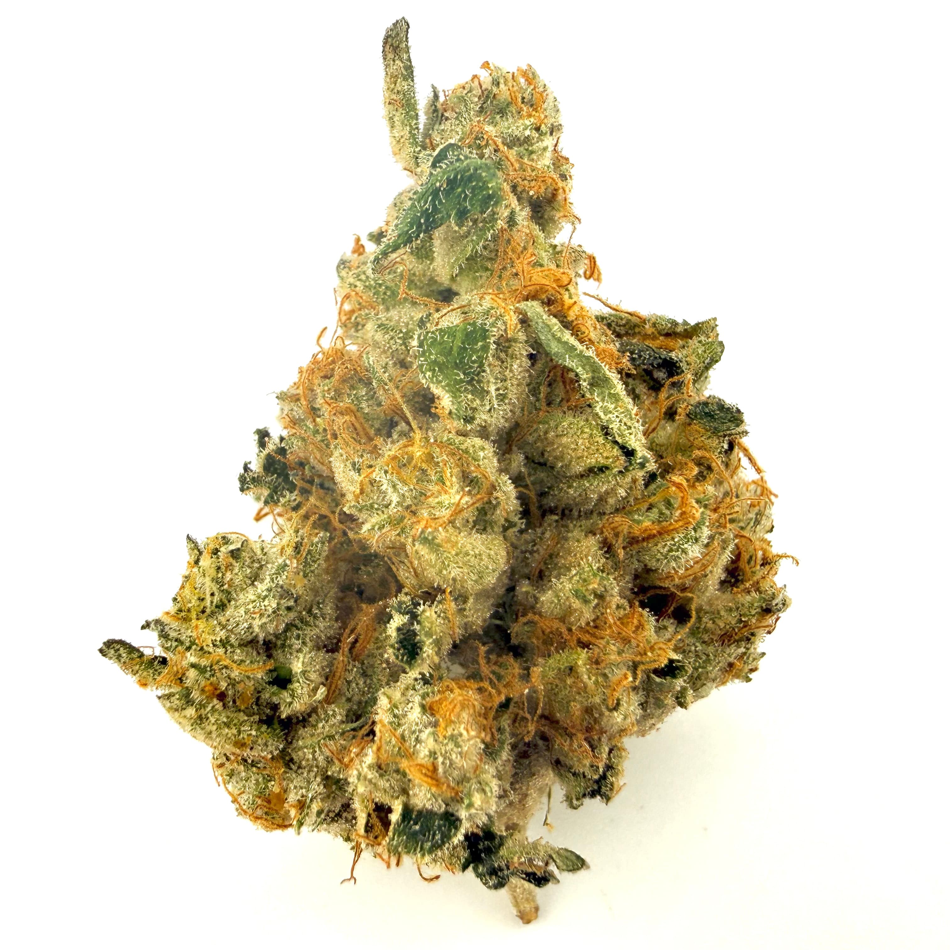 Firefly Organics