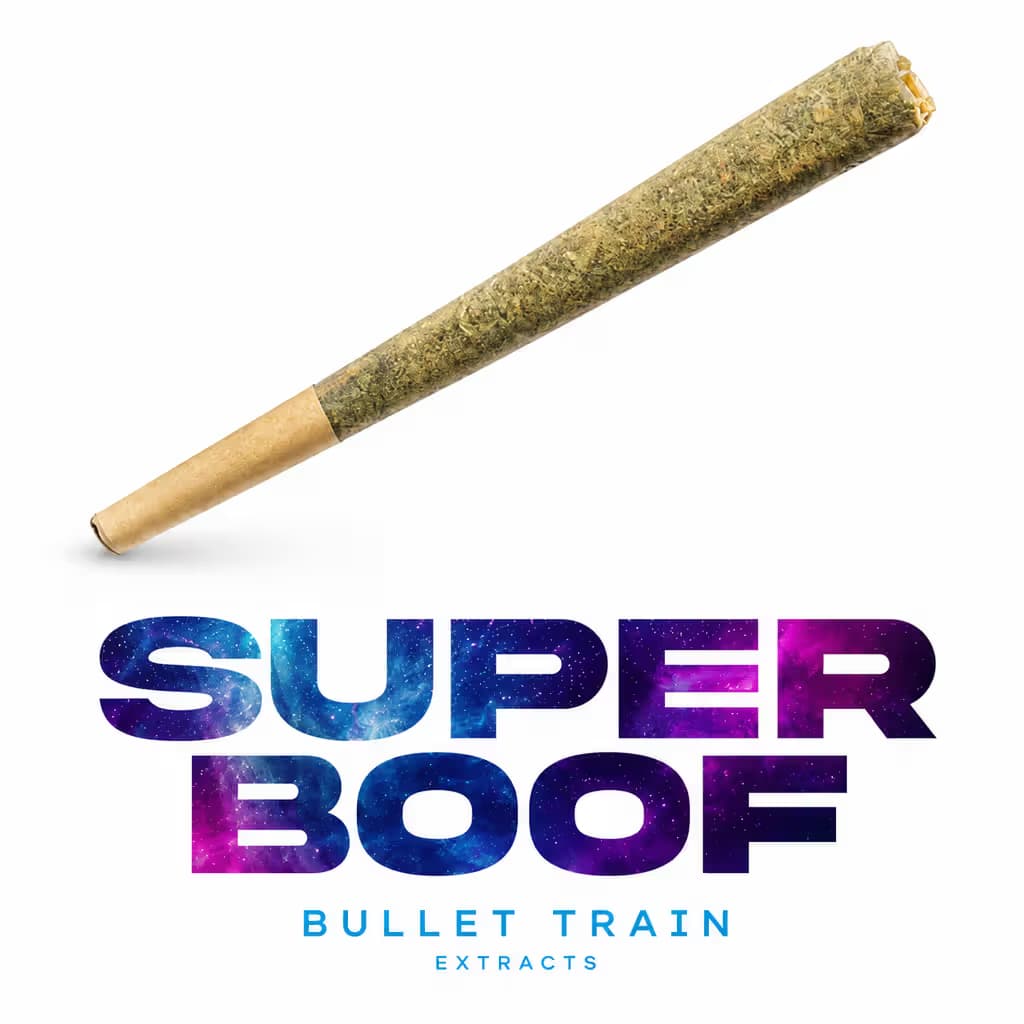 Bullet Train Extracts