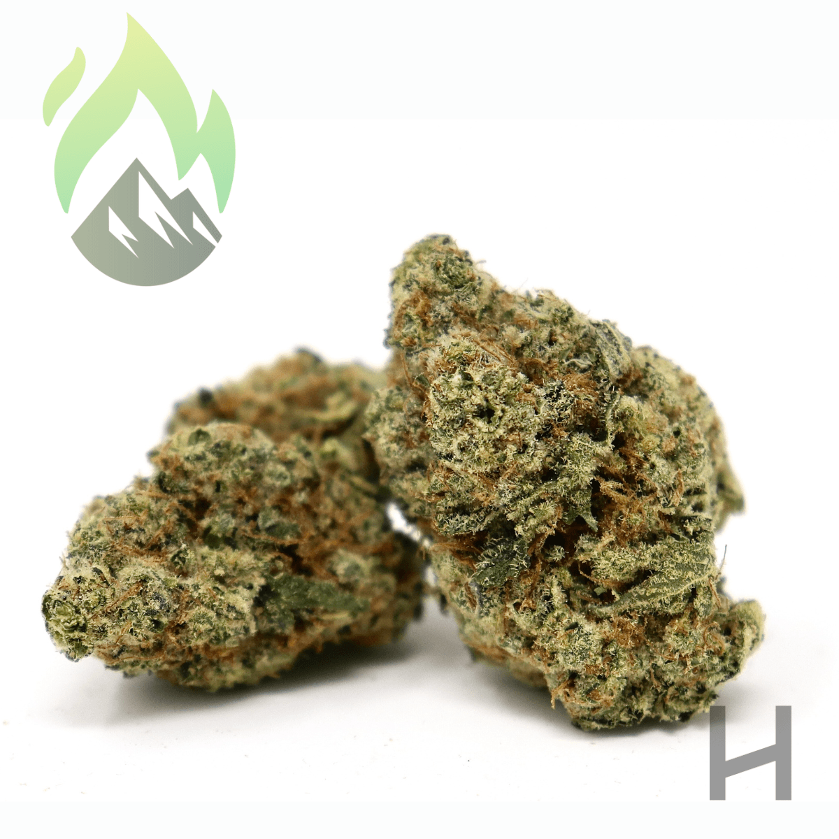 Wildfire Lilac Diesel