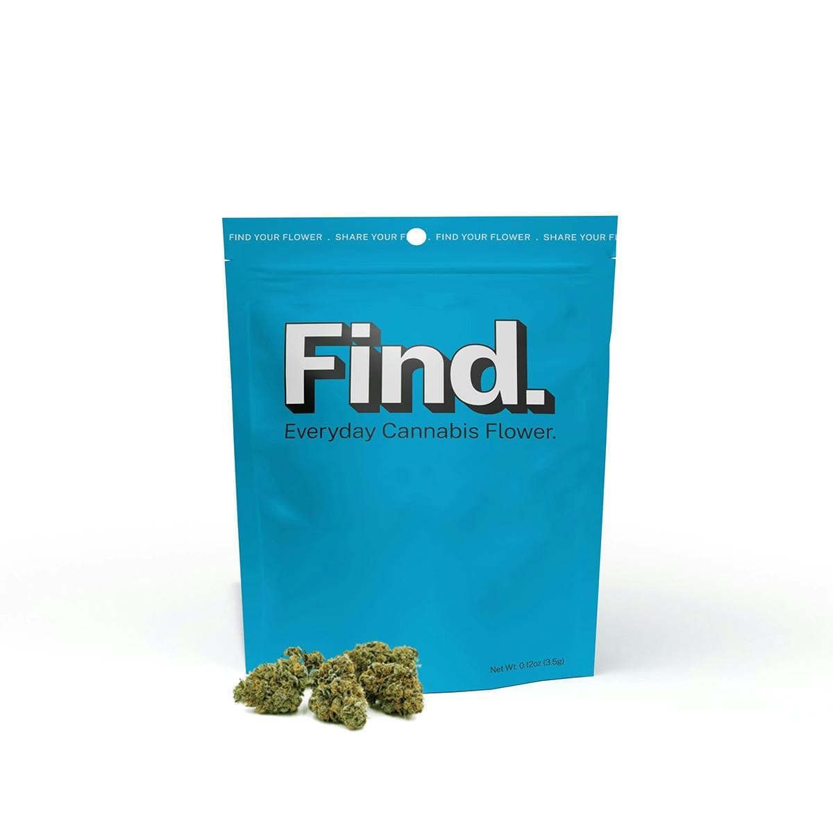 Find. Silver Dollar