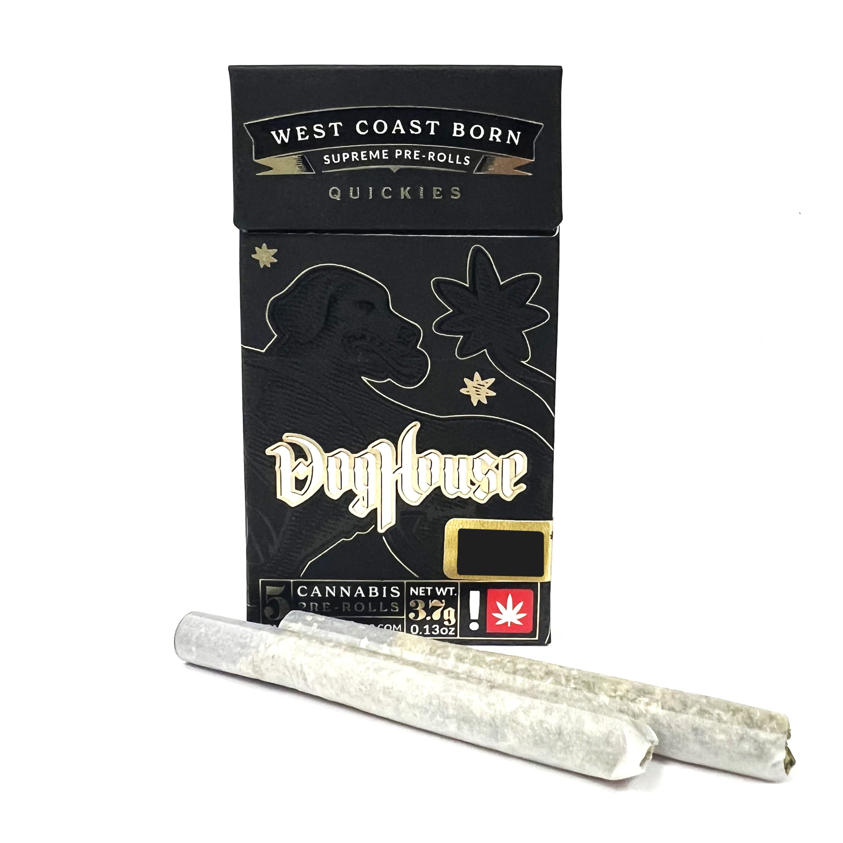 DogHouse
