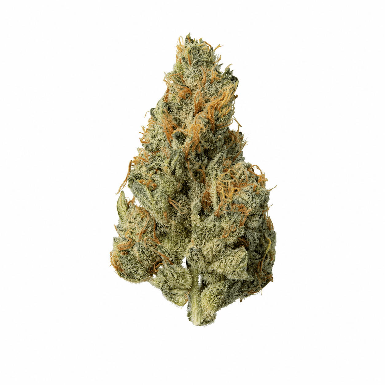 Zips 1/2 Zips - Flower - RS-11