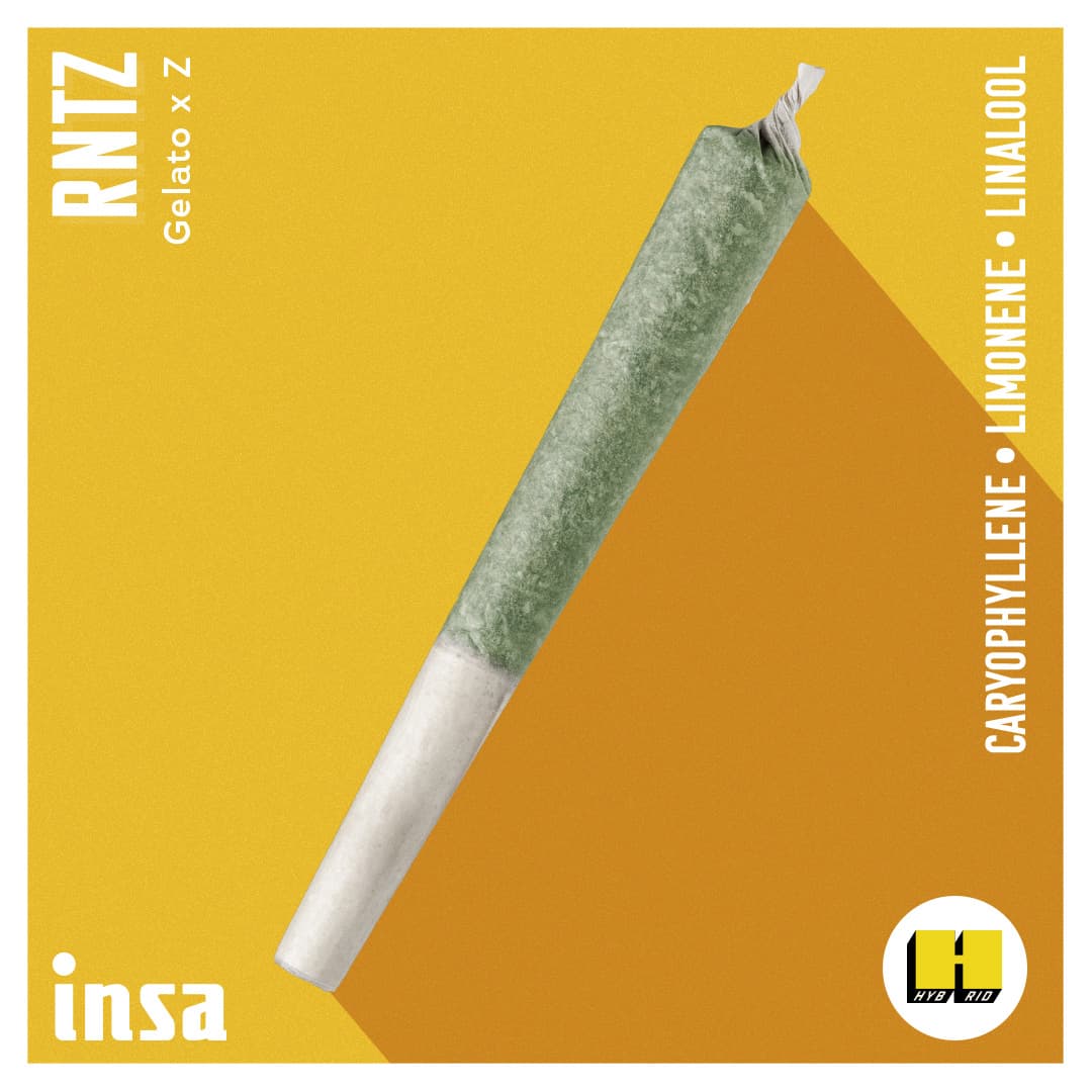 Insa Premium Pre-Roll - RNTZ