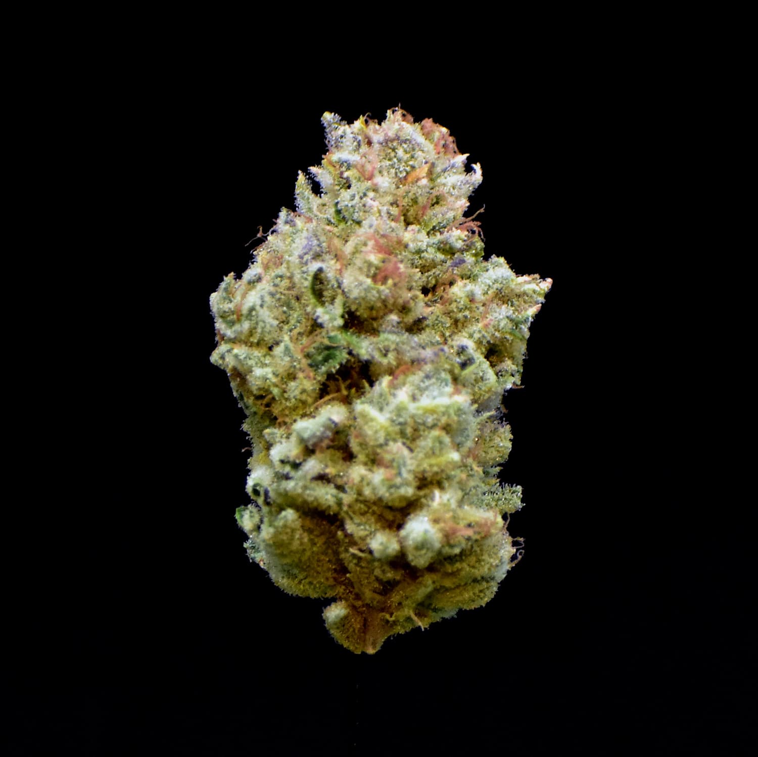 Stoner & Co Flower - 3.5 g - Ice Cream Candy Smalls