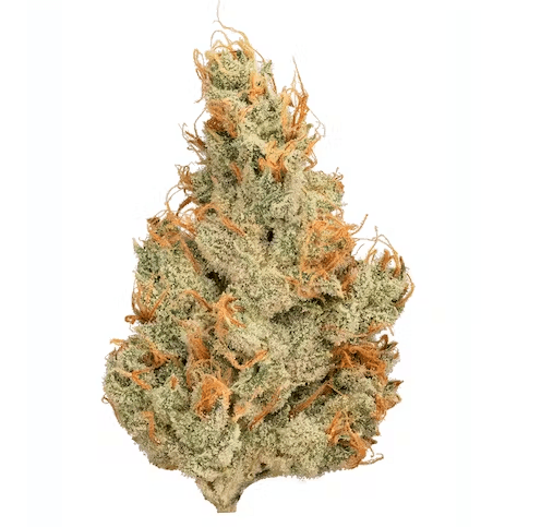 River Driver Cannabis Co Grapefruit Haze