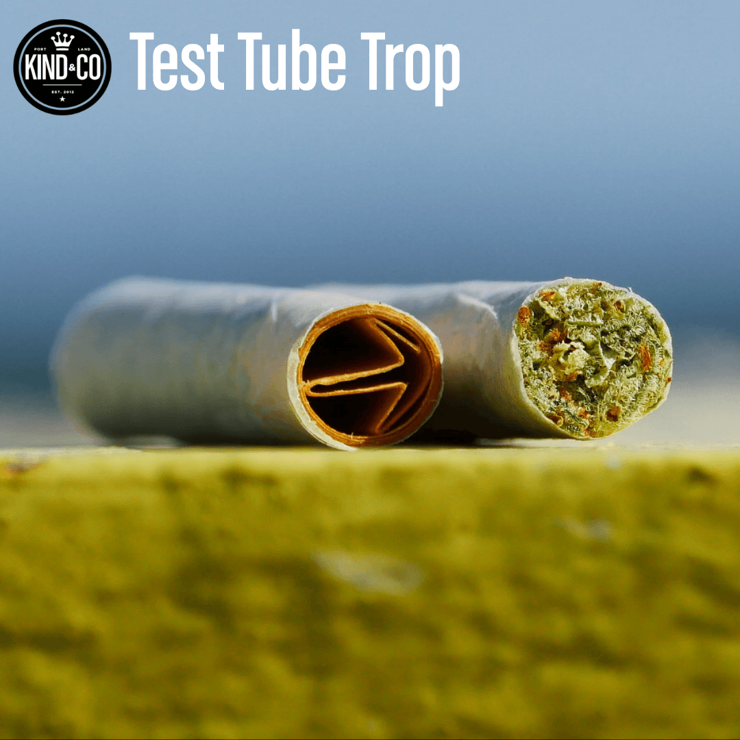 Kind & Co. Kind & Co // Test Tube Trop Preroll