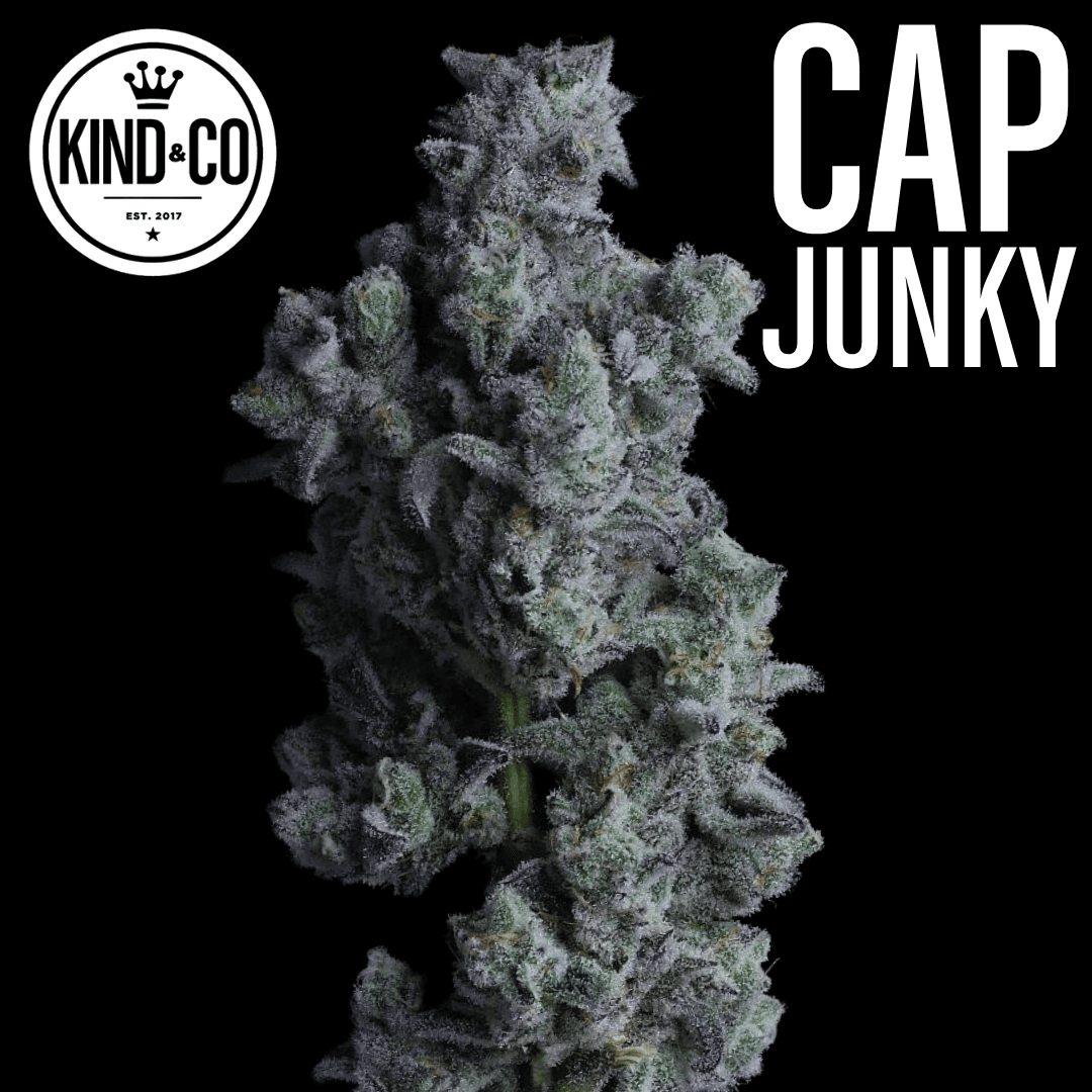 Kind & Co. Cap Junky Jar