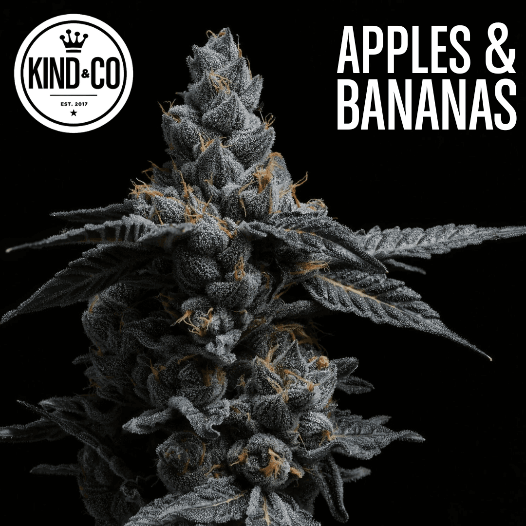 Kind & Co. Gold Cash Gold Cultivated by Kind an Co. 3.5G