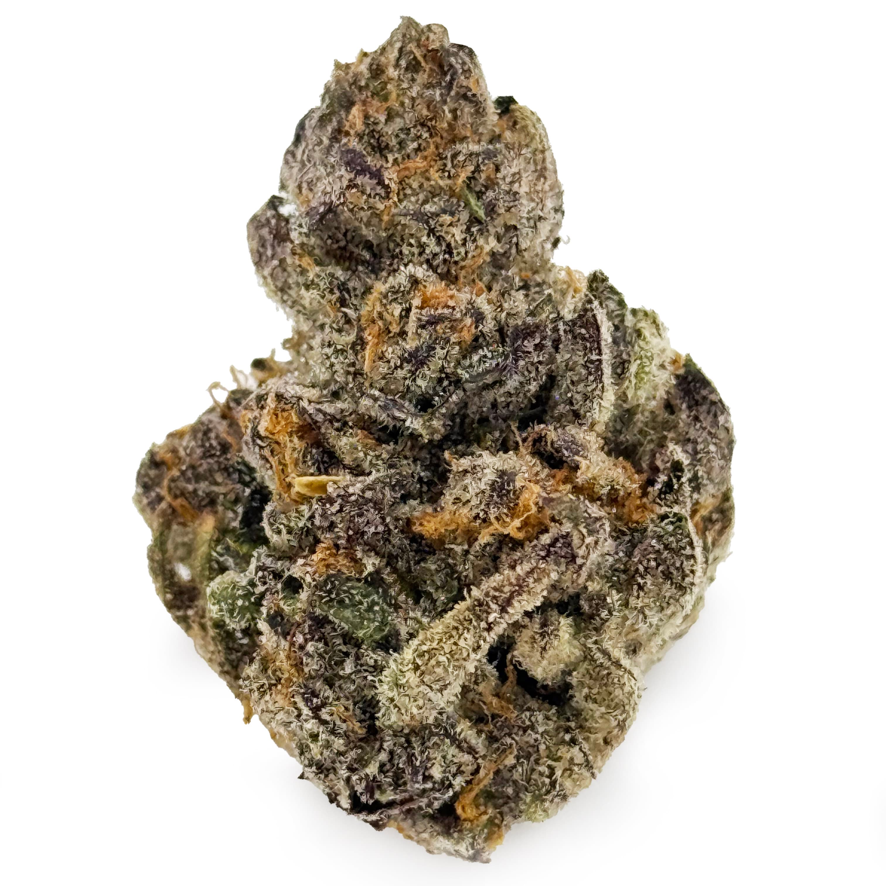 DogHouse Farms