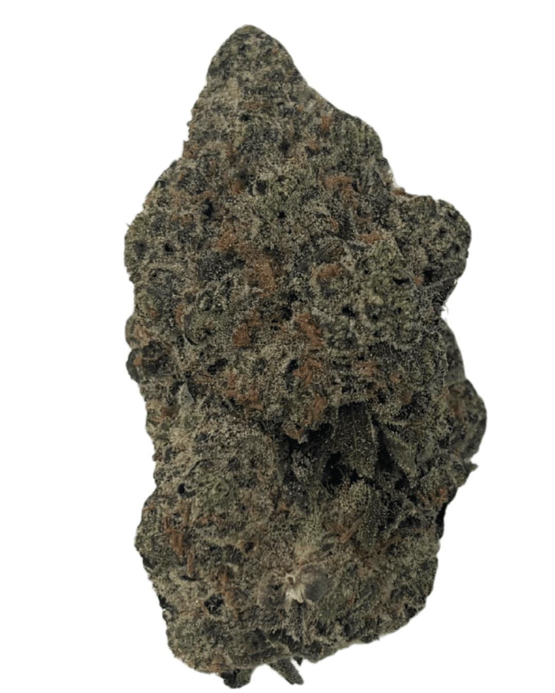 BoomBud