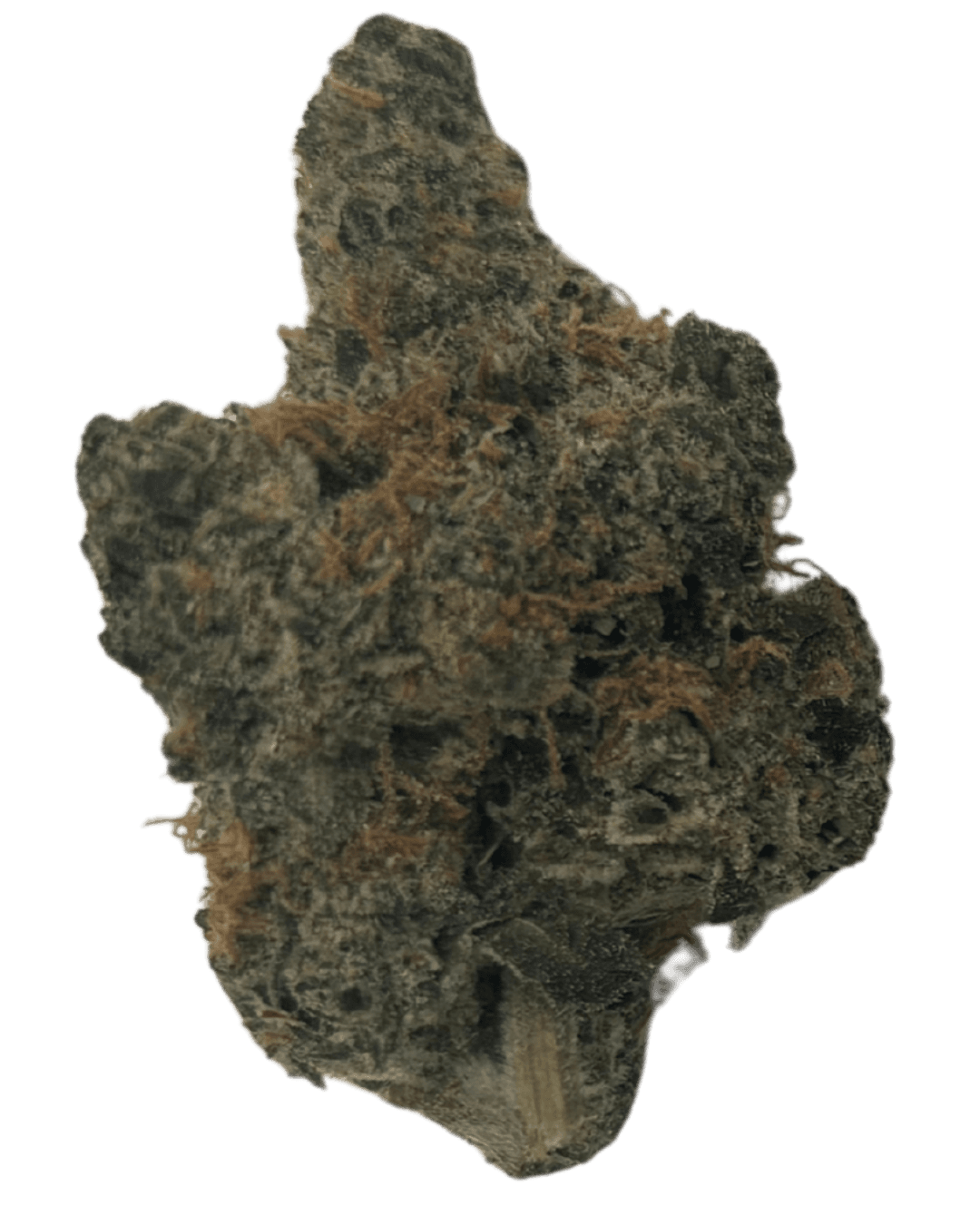 BoomBud