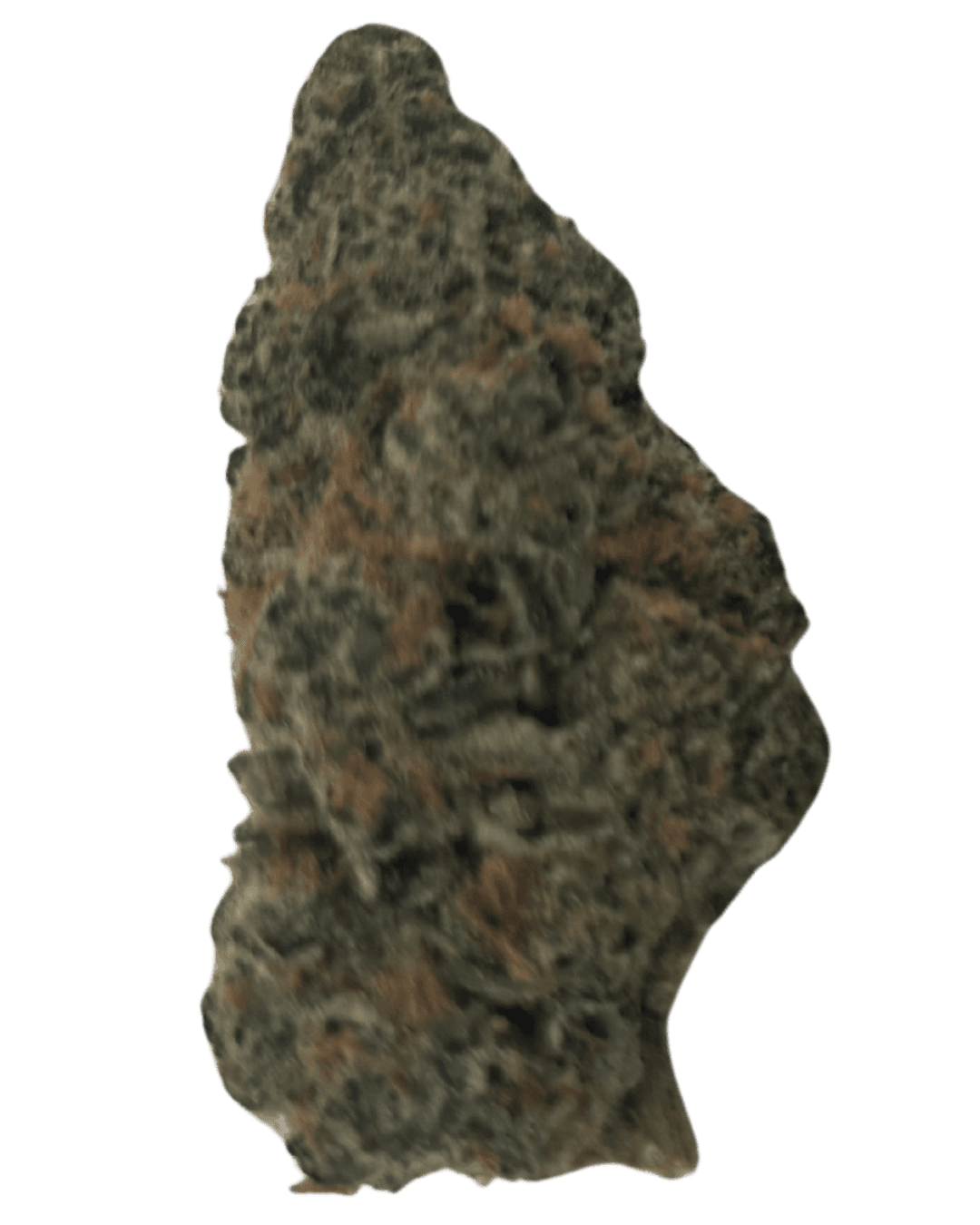 BoomBud