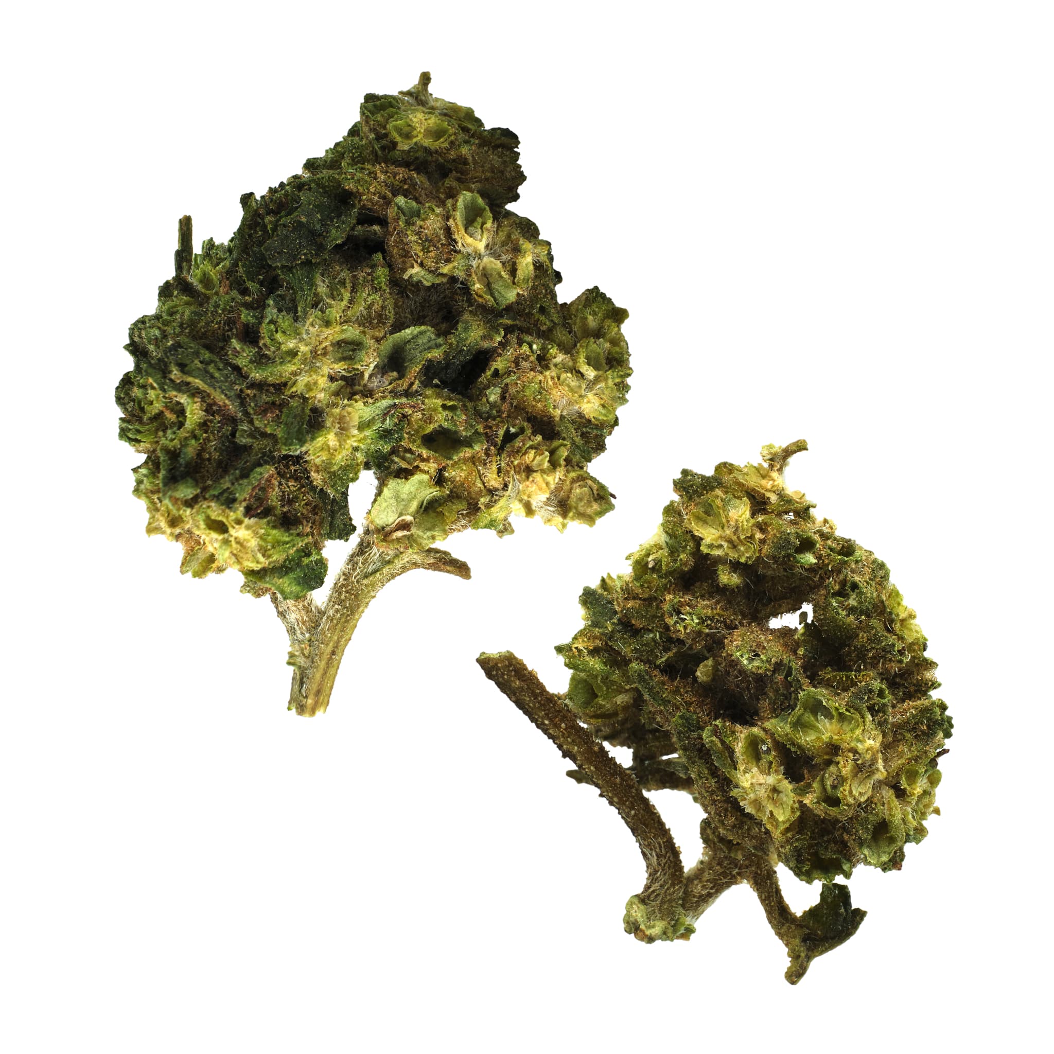 OG FARMS Blue Dream Outdoor