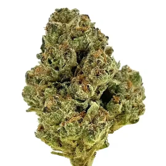 Greens Black Runtz | Flower | 3.5G
