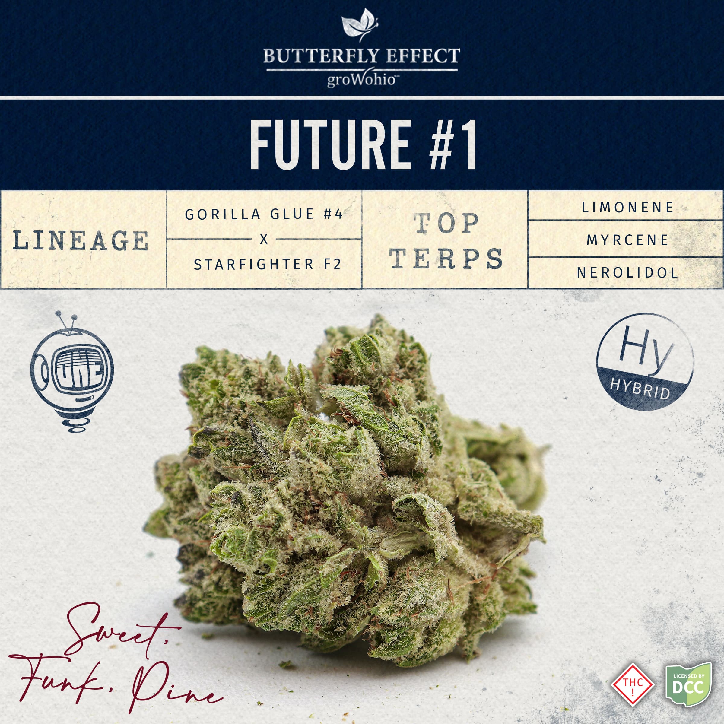 Butterfly Effect by Grow Ohio Future #1 | 3.5g Bigs