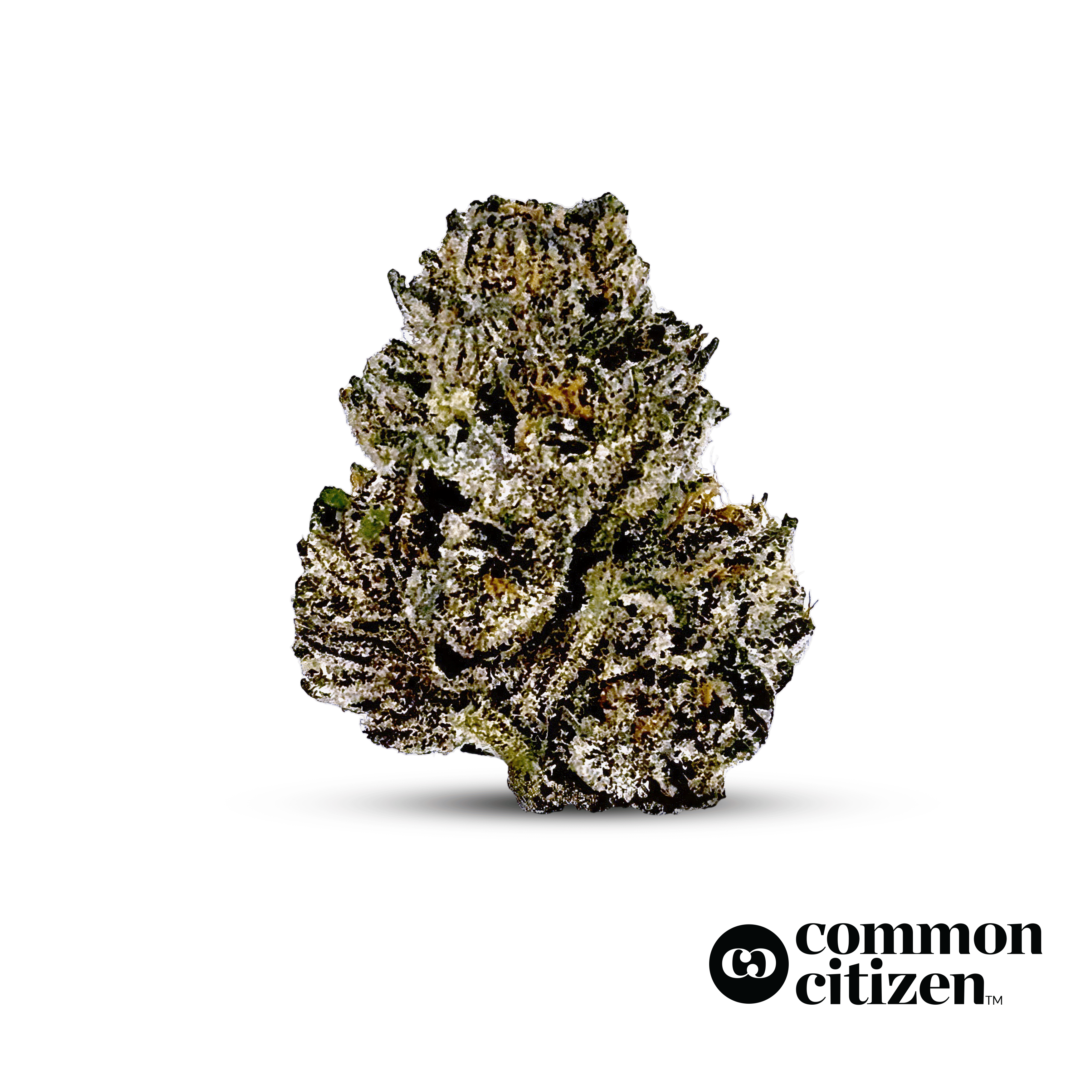 Common Citizen GMO | 7g