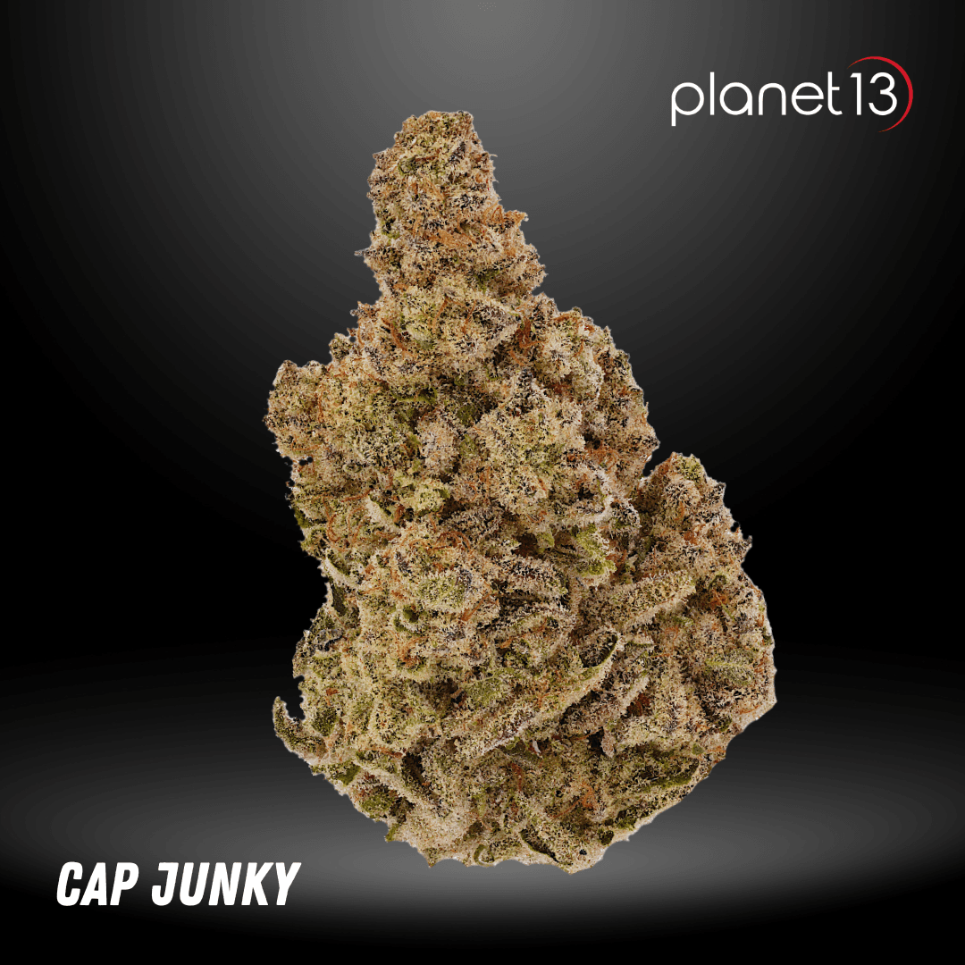 Planet 13 Cannabis for The Planet Cap Junky 3.5g Jar Tier 1