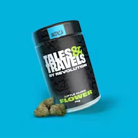 Revolution - Tales & Travels Popcorn Closet Gremlin | 14g