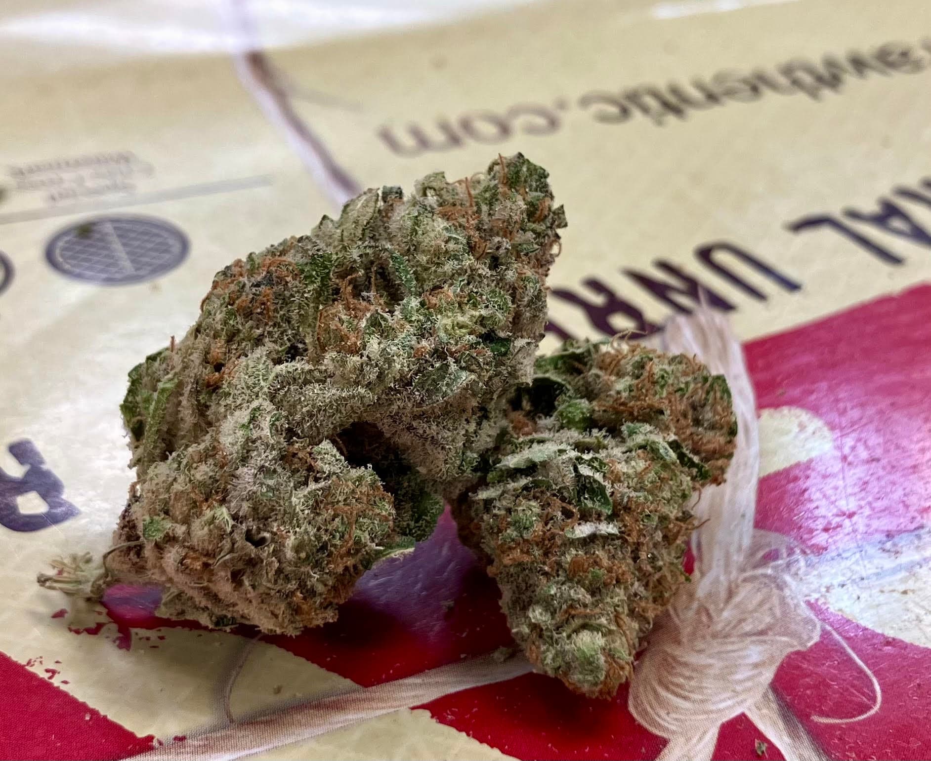 The Healing Canna