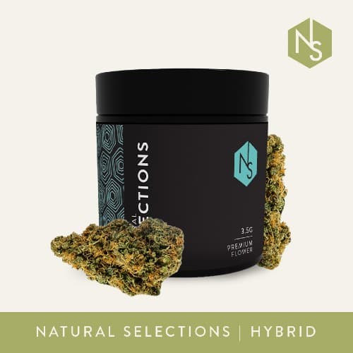 Natural Selections California Flower