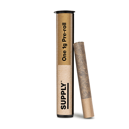 Supply Banana OG x Trophy Wife Pre-Roll
