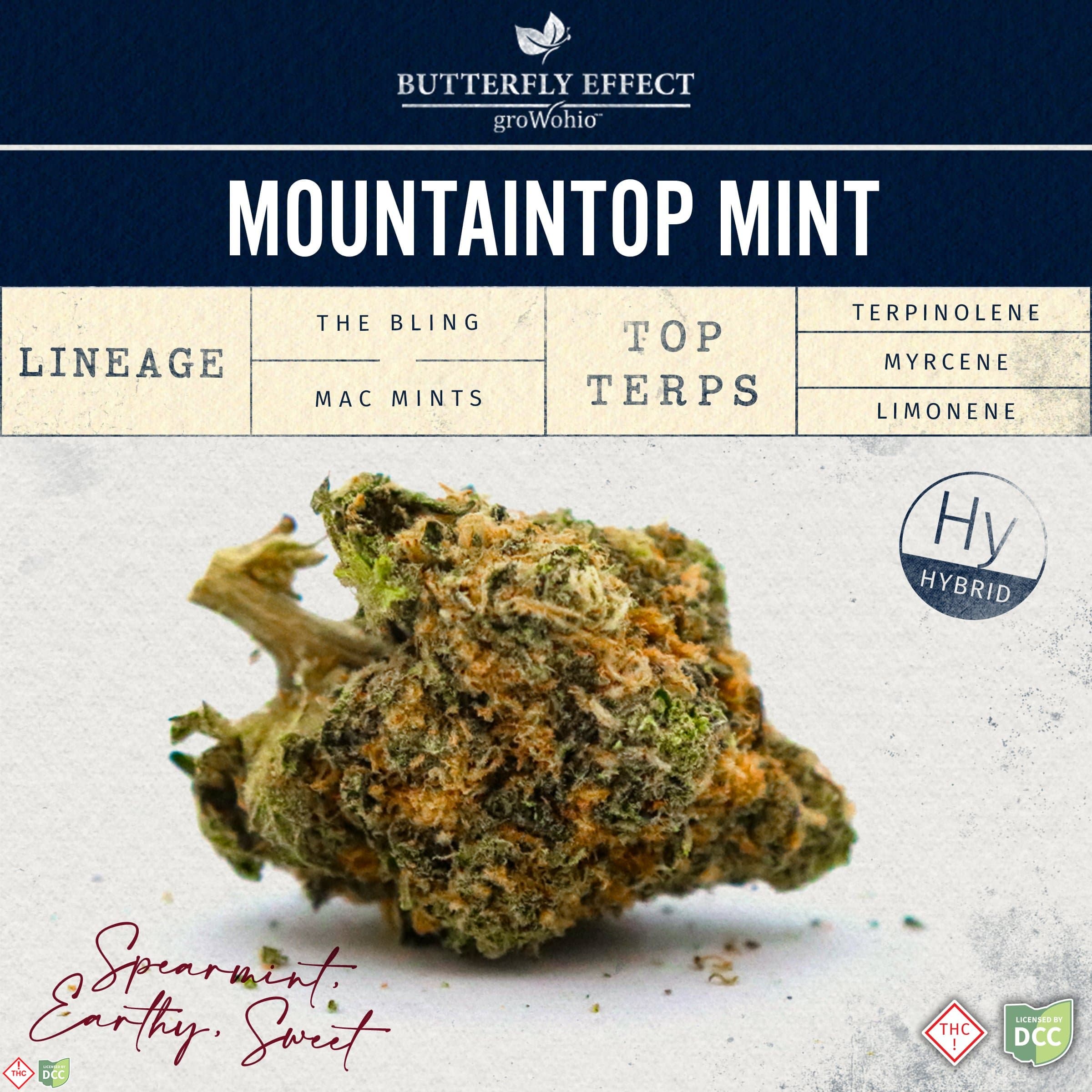 Butterfly Effect Mountaintop Mint [2.83g]