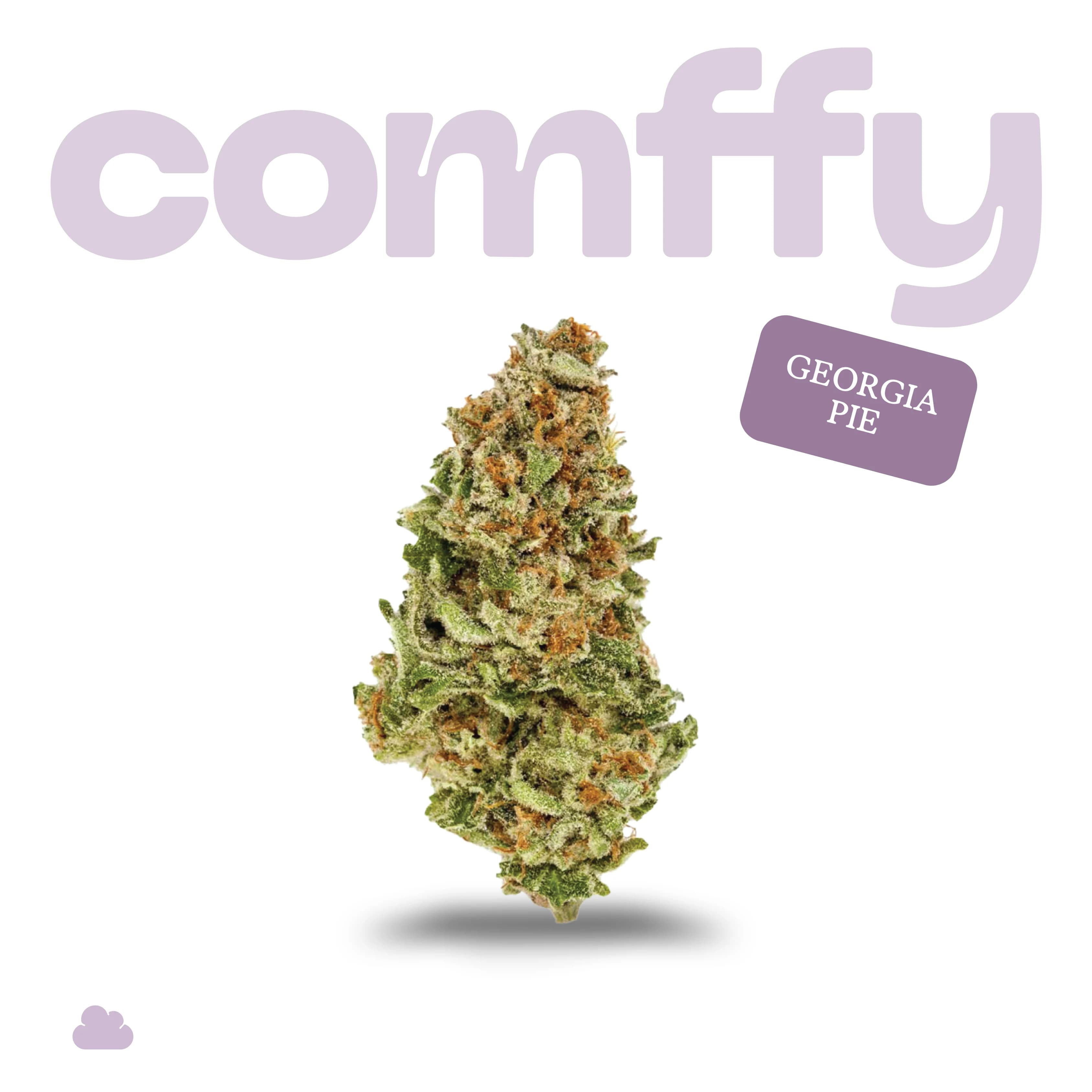 Comffy Georgia Pie (I) Flower