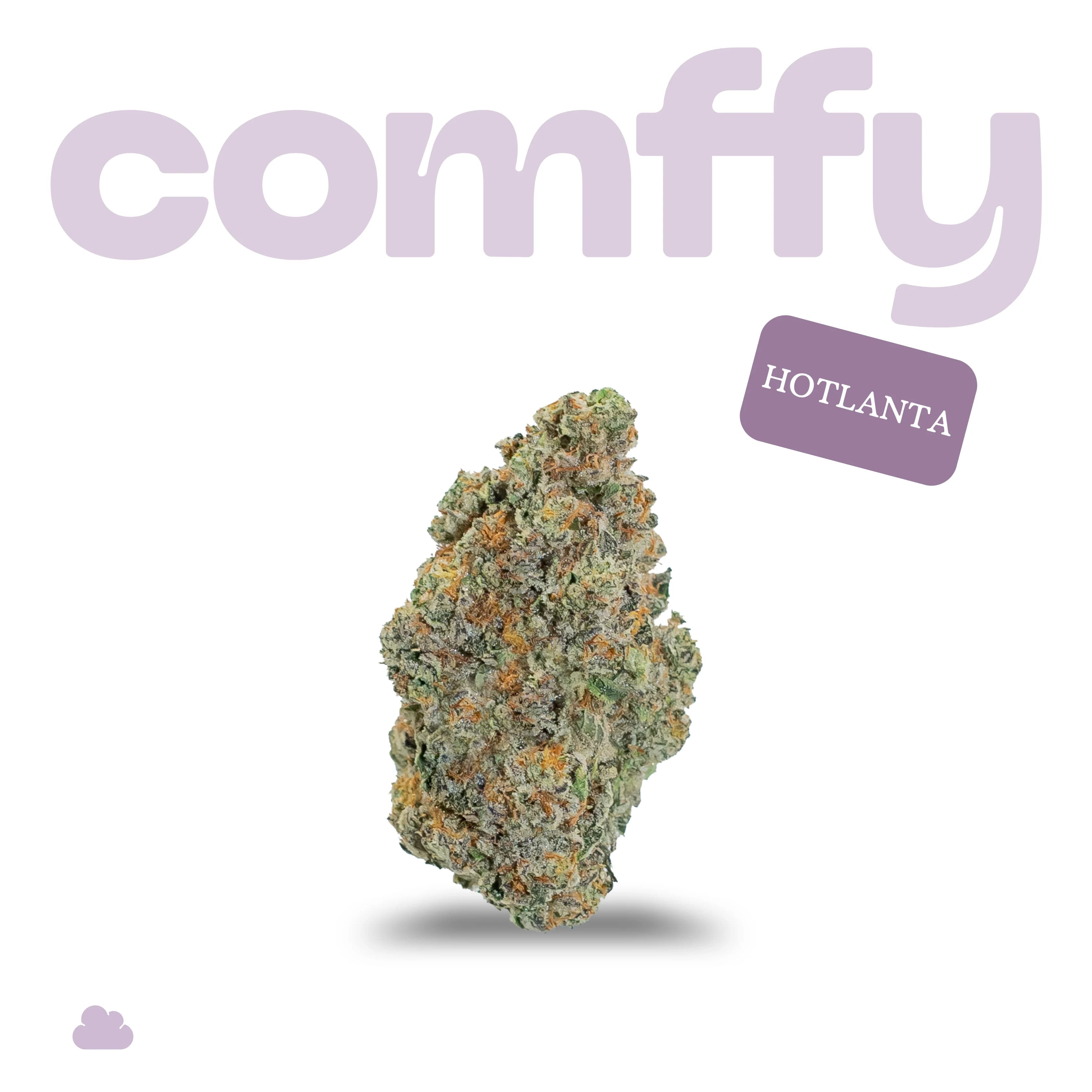 Comffy Hotlanta (I) Flower