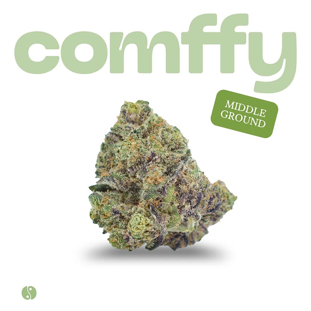Comffy Middle Ground (H) Flower