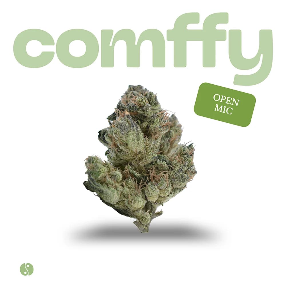 Comffy Open Mic (H) Flower