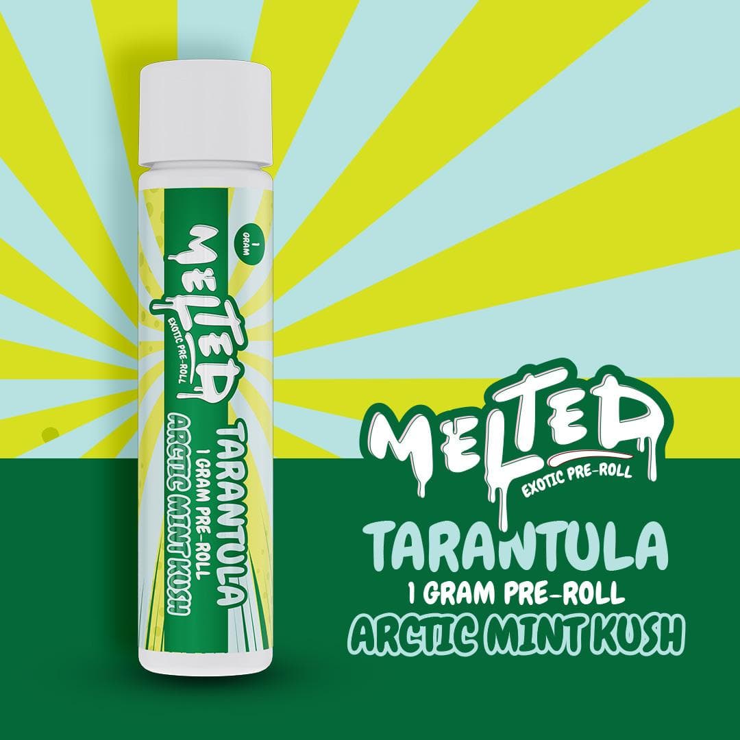 MELTED Melted - Tarantulas - 1g Preroll - Arctic mint Kush