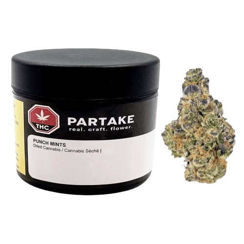 Partake Partake - Punch Mints Minis Dried Flower