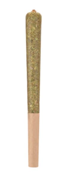 Woody Nelson Woody Nelson : Rocketeer Infused Pre-roll