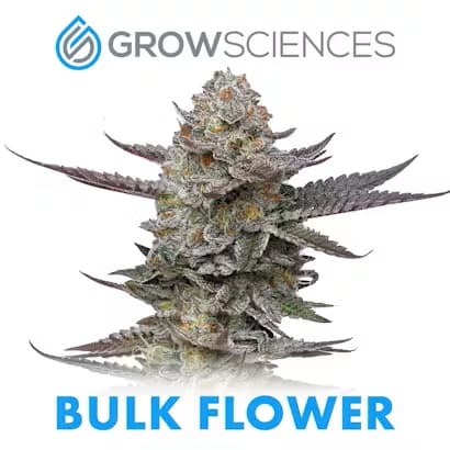 Grow Sciences PINK SHERB