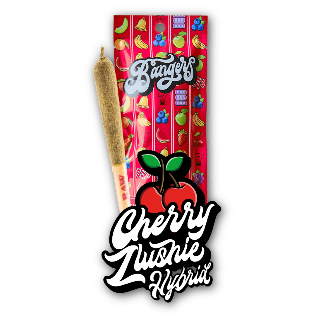 Bangers Bangers Cherry Zlushie (H) Infused Pre-Roll 1.2g