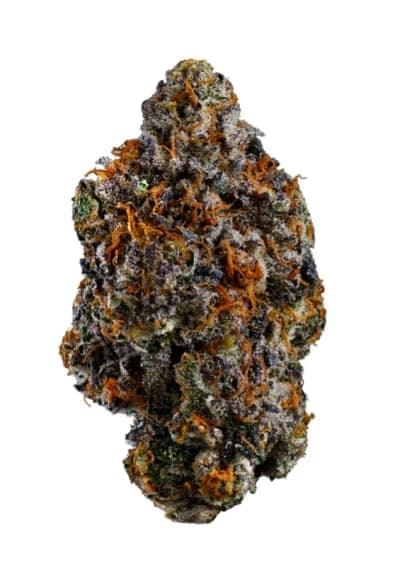 Coast Mountain Cannabis BC Organic Lemon Cherry Pie - 3.5g