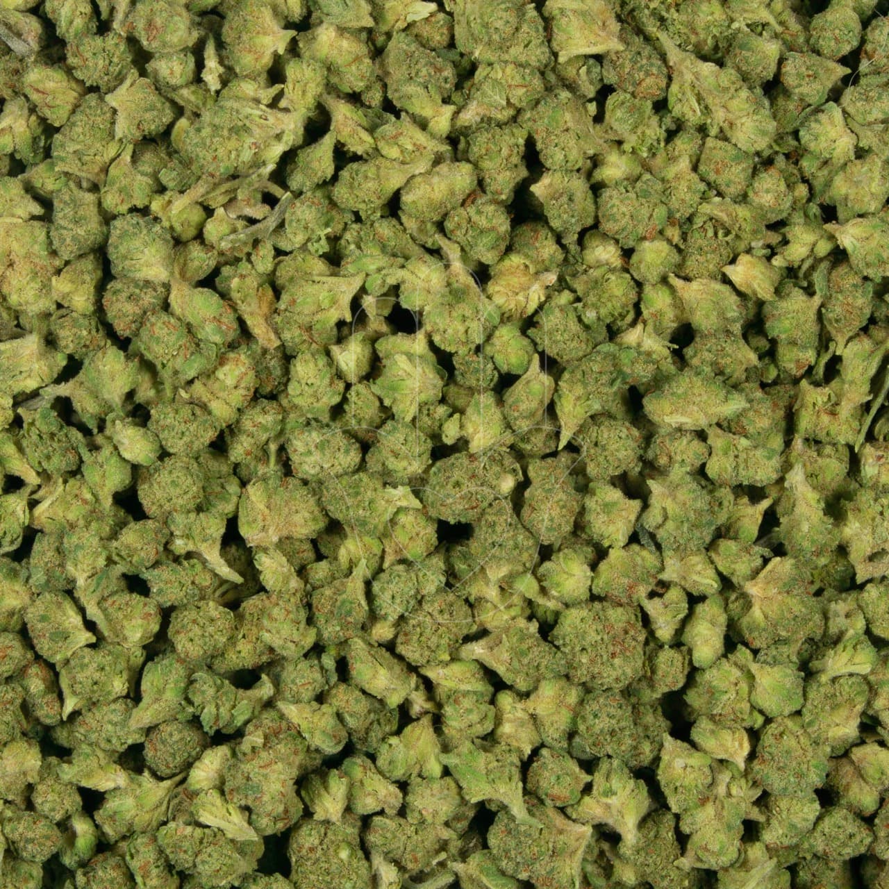 King Weedy