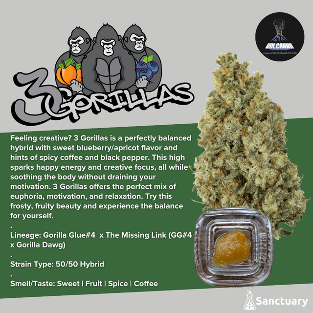 Volcanna 3 Gorillas (H) - (1g) Sauce