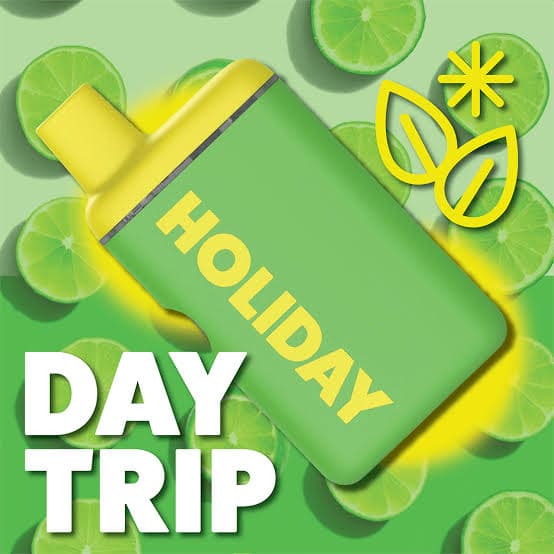 Holiday Day Trip Disposable Vape | 1g