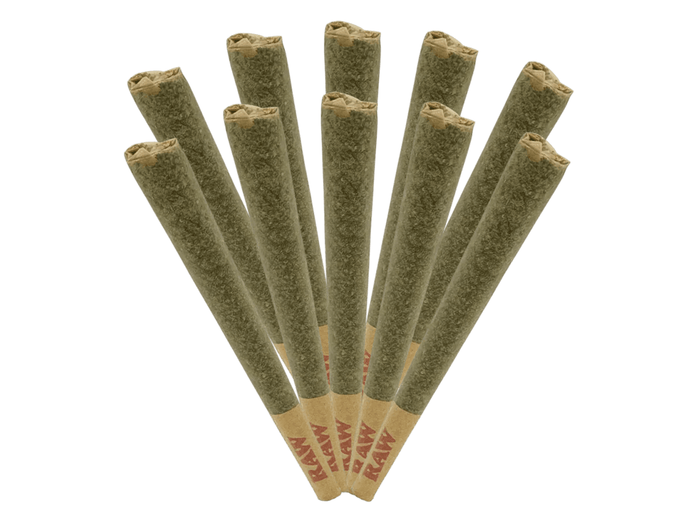 Dakota Herb