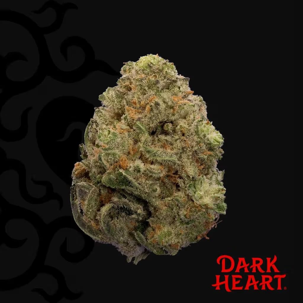 Dark Heart
