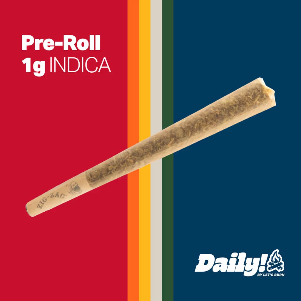 Daily! Daily! Campfire 1g Pre-roll 0094
