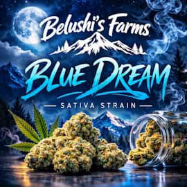 Belushi's Farm Blue Dream
