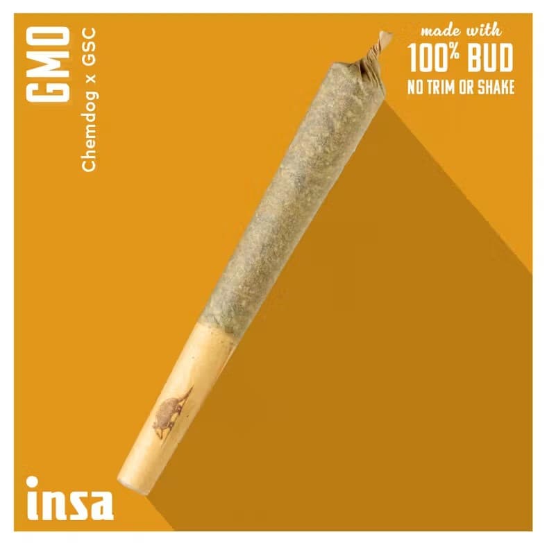 Insa